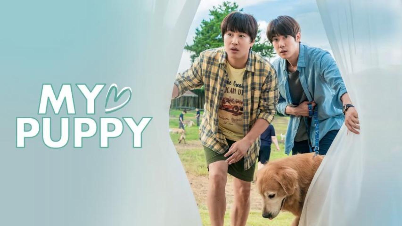 فيلم My Heart Puppy 2023 مترجم كامل اون لاين HD