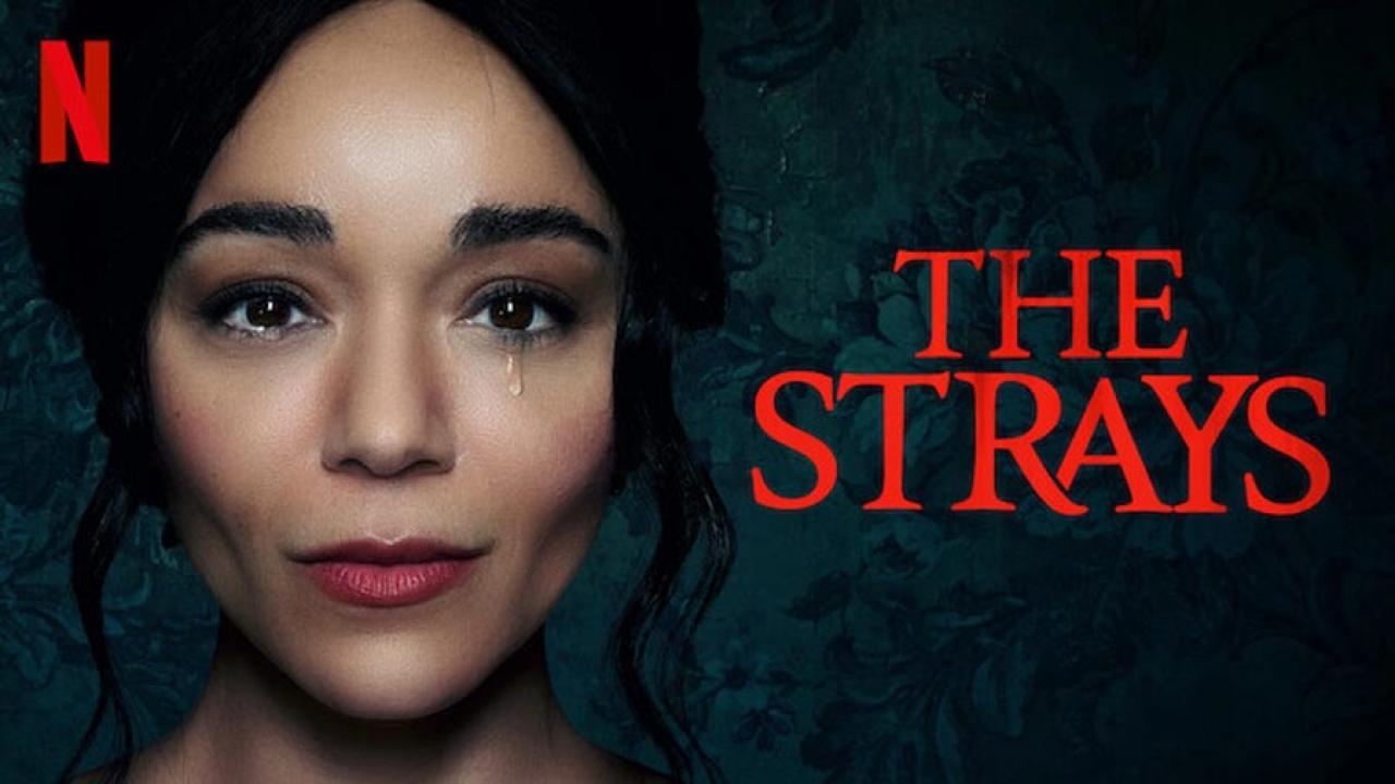 فيلم The Strays 2023 مترجم كامل اون لاين HD